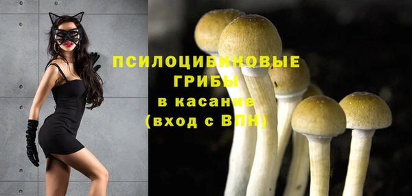ALPHA PVP Баксан
