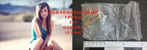 PSILOCYBIN Балахна