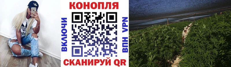 закладки Михайлов mega tor Марихуана конопля